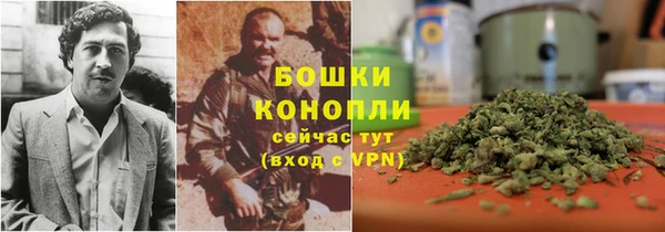 крисы Аркадак