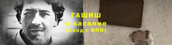 гидра Арсеньев