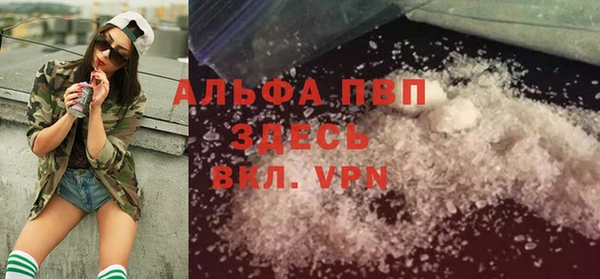 крисы Аркадак
