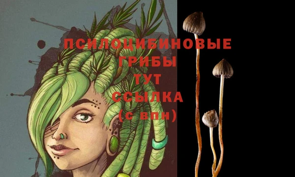 крисы Аркадак