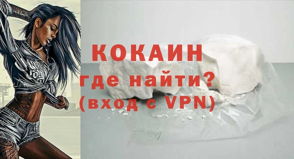 гидра Арсеньев