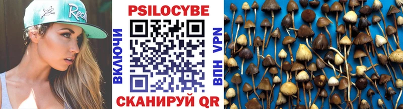 Галлюциногенные грибы Psilocybine cubensis  Темников 