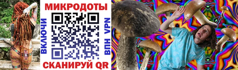 Галлюциногенные грибы мухоморы Темников